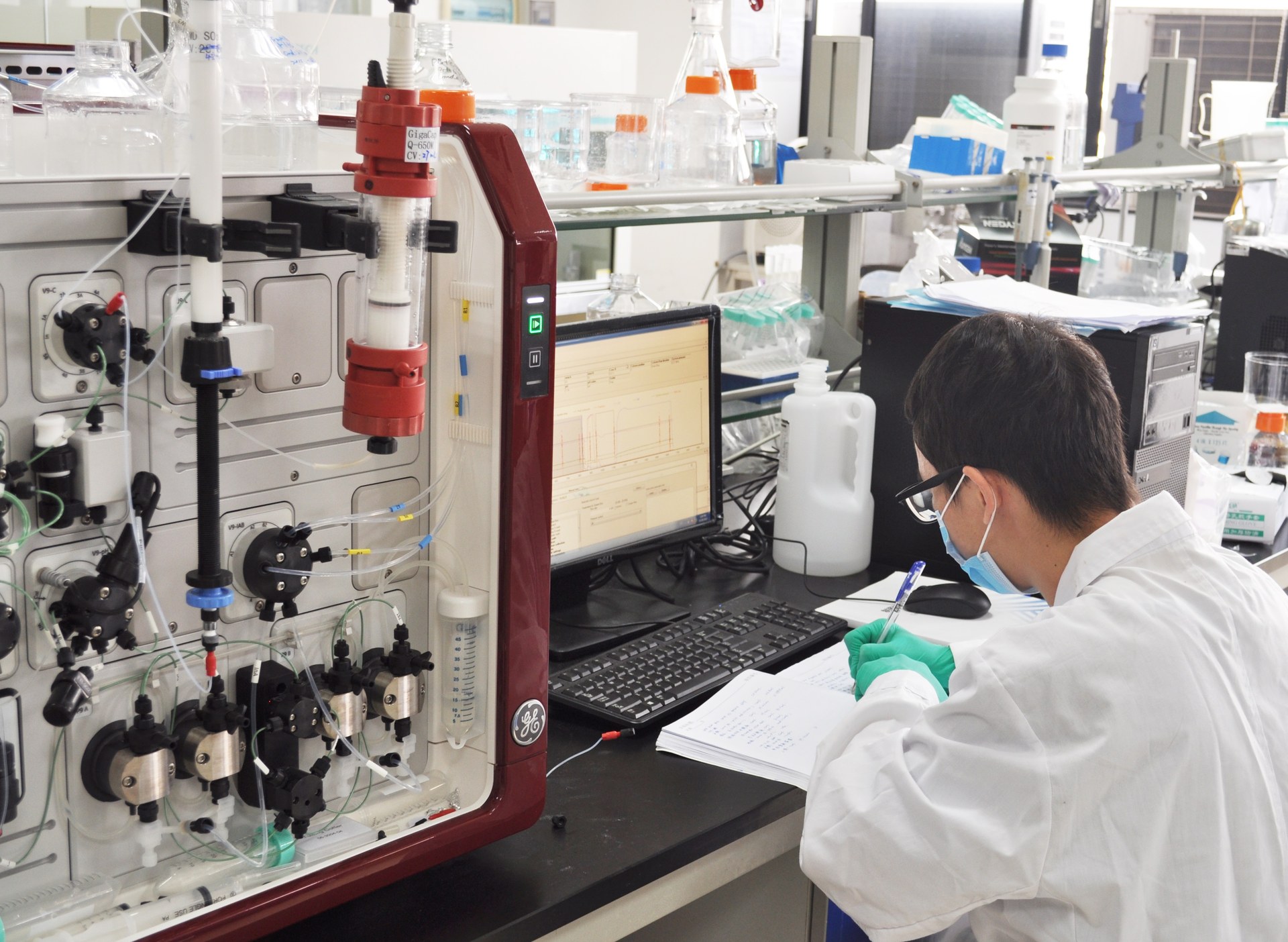 ADCC-Enhanced & Long-Acting Antibody Fc Engineering